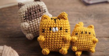Flat Flat Cat Amigurumi(1)